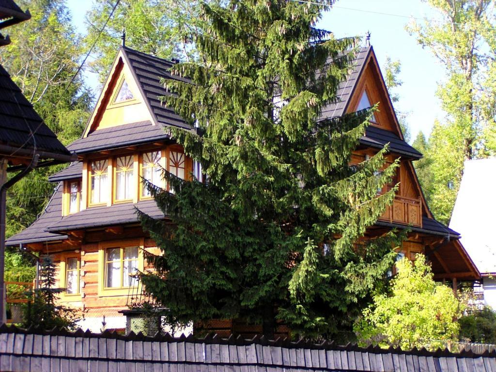 Willa Olga Zakopane Exteriör bild